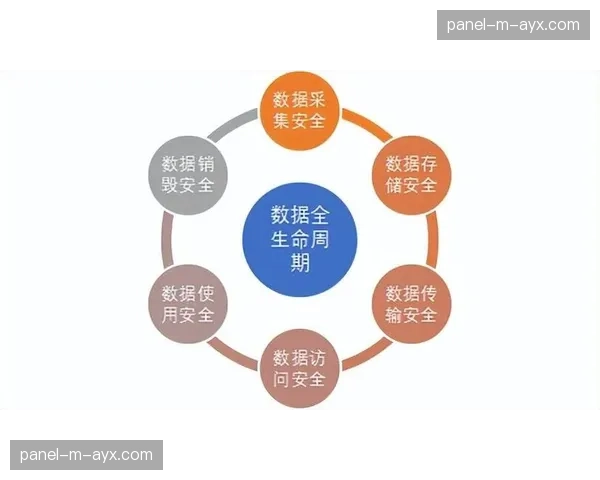 数据合规与隐私保护框架加强，应对日趋严格的监管